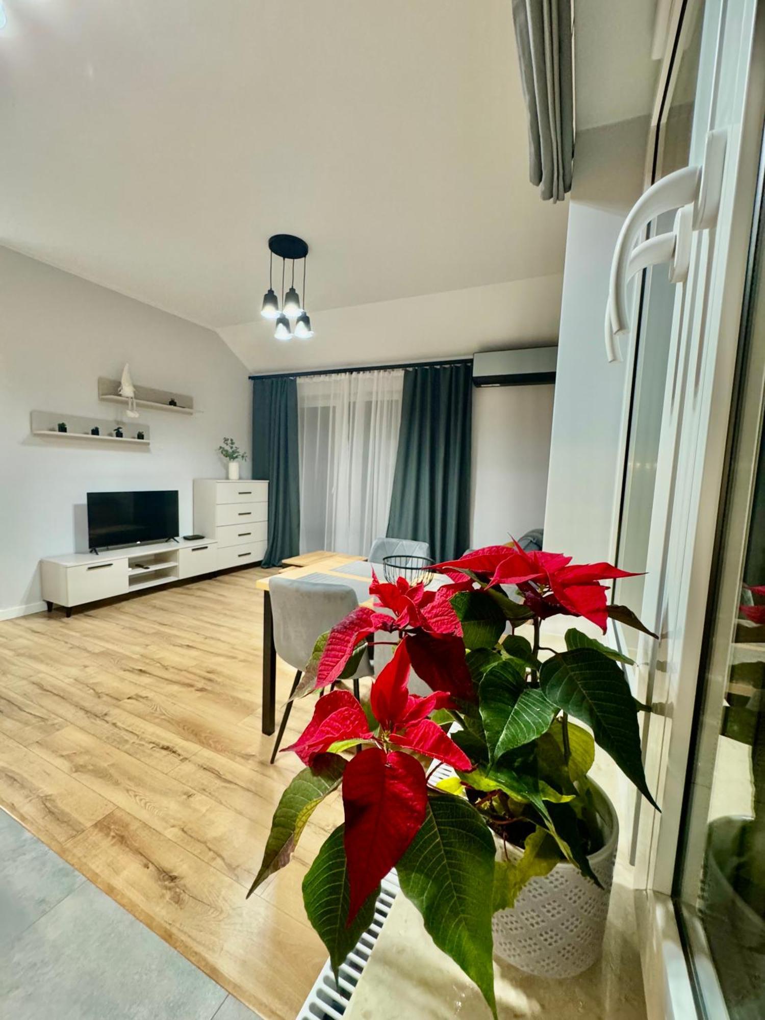Apartament Olenka Busko Zdroj Ngoại thất bức ảnh